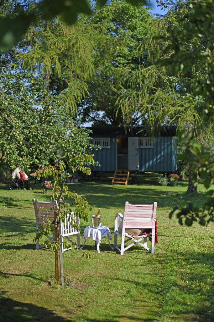 Suffolk Shepherd Hut - private orchard