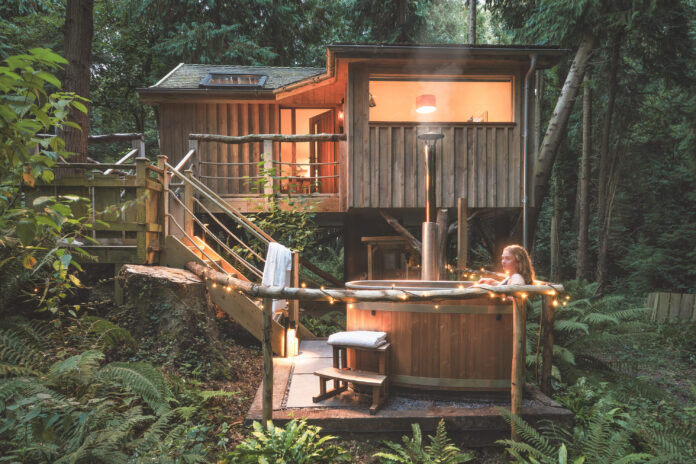 Boutique Glamping Somerset - Treehouse