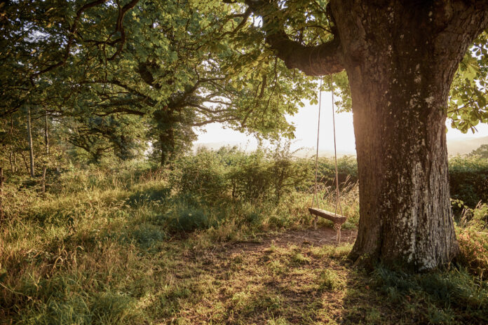 Cruckbarn