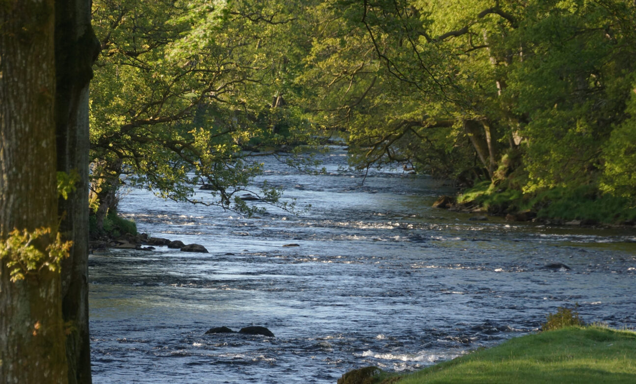 River Teith