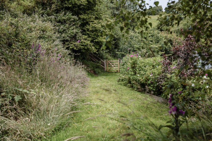 Shuttaford Barns