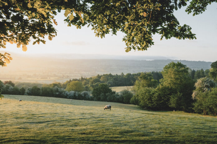 Rolling Hill Cabins, Shropshire