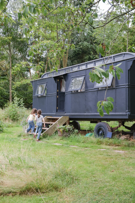 Molly's Wagon