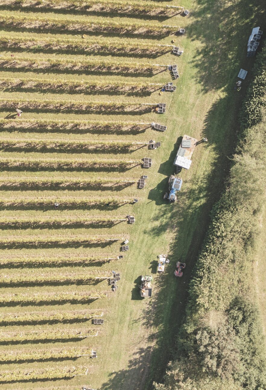 Aerial shot of field