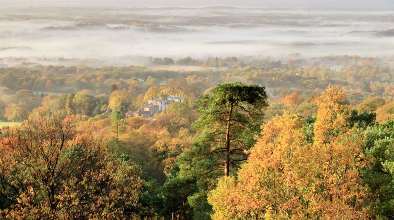 Leith Hill Copyright National Trust