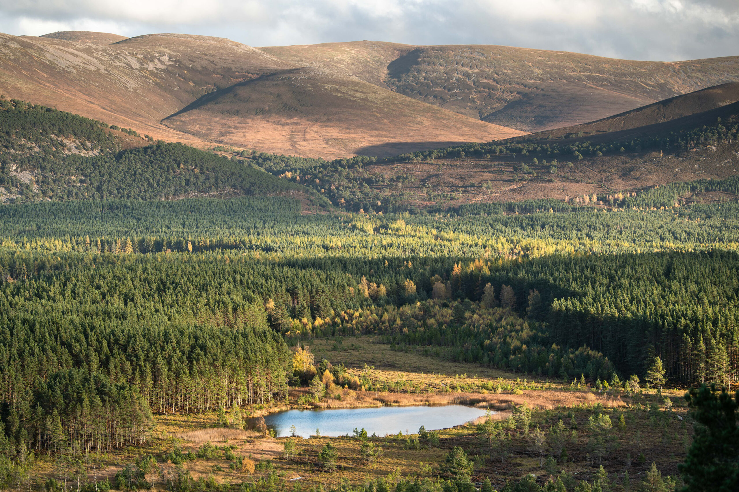 Cairngorms Cabin
