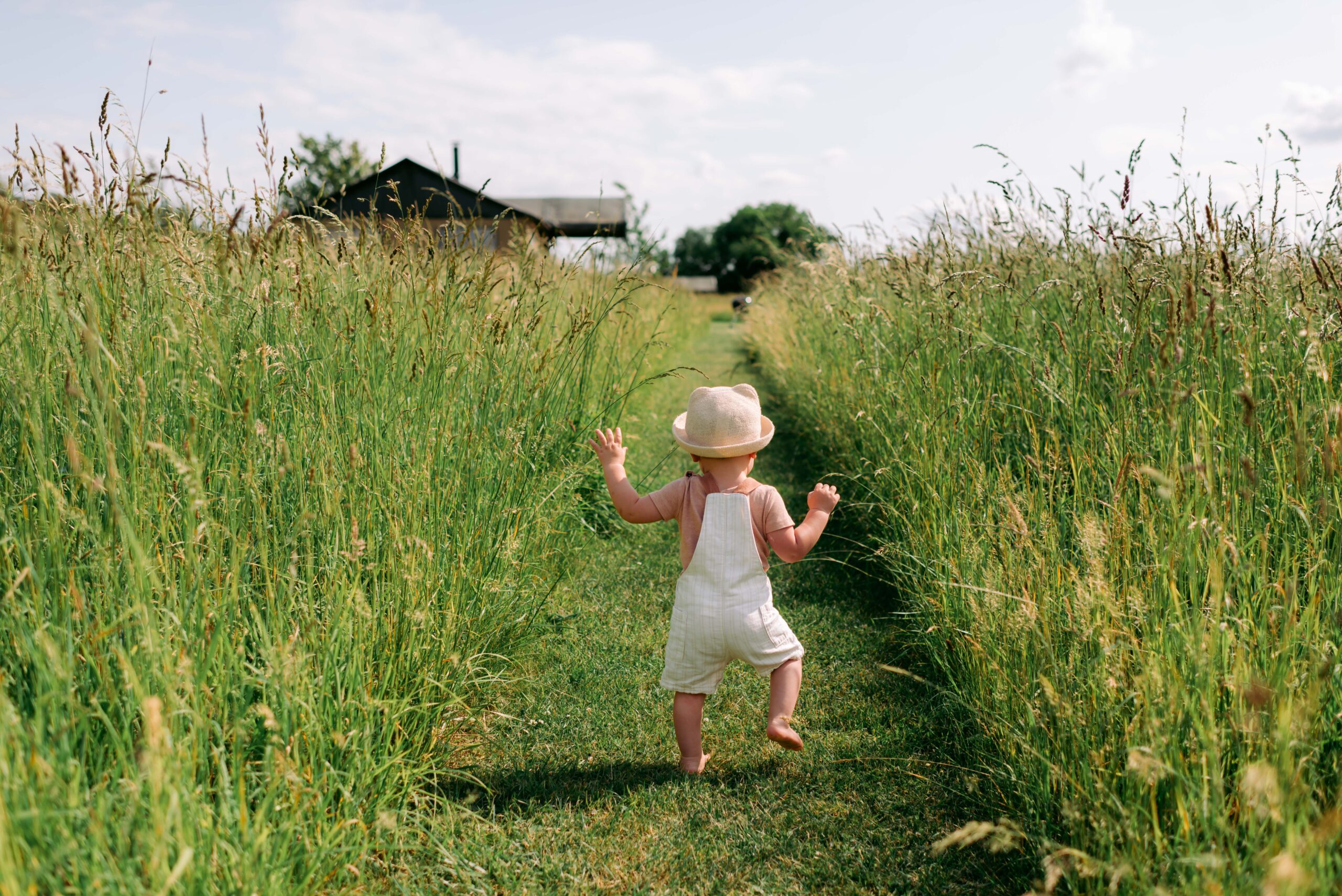 Toddler walking along the grass