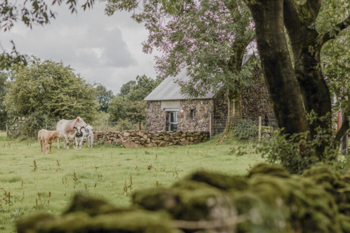 Barneys Ruins Barn