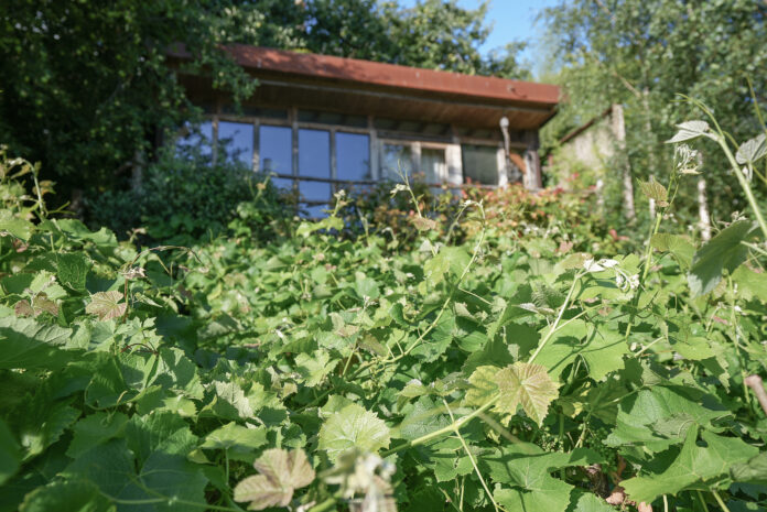 Secret Bristol Cabin