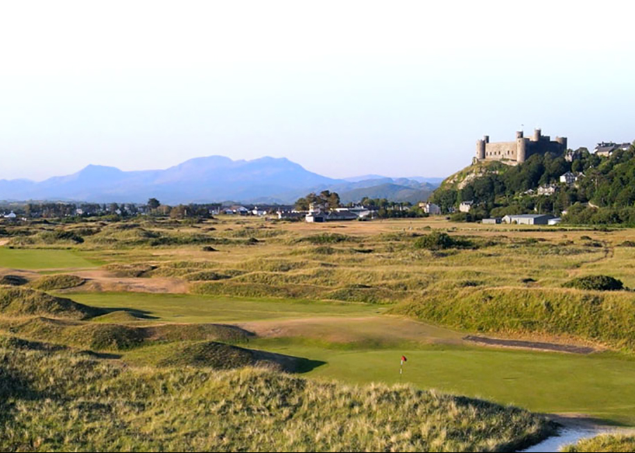 © Royal St Davids Golf Course