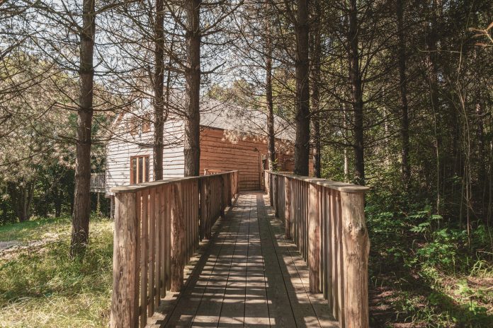 Journeyman, Brook House Woods