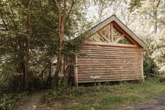 Walden - Brook House Woods