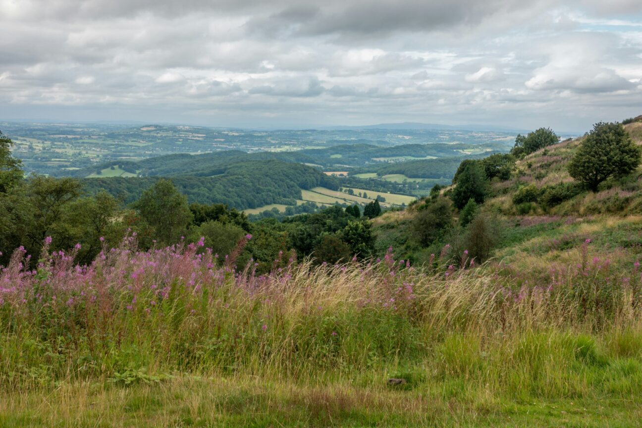 Malvern Hills via Unsplash