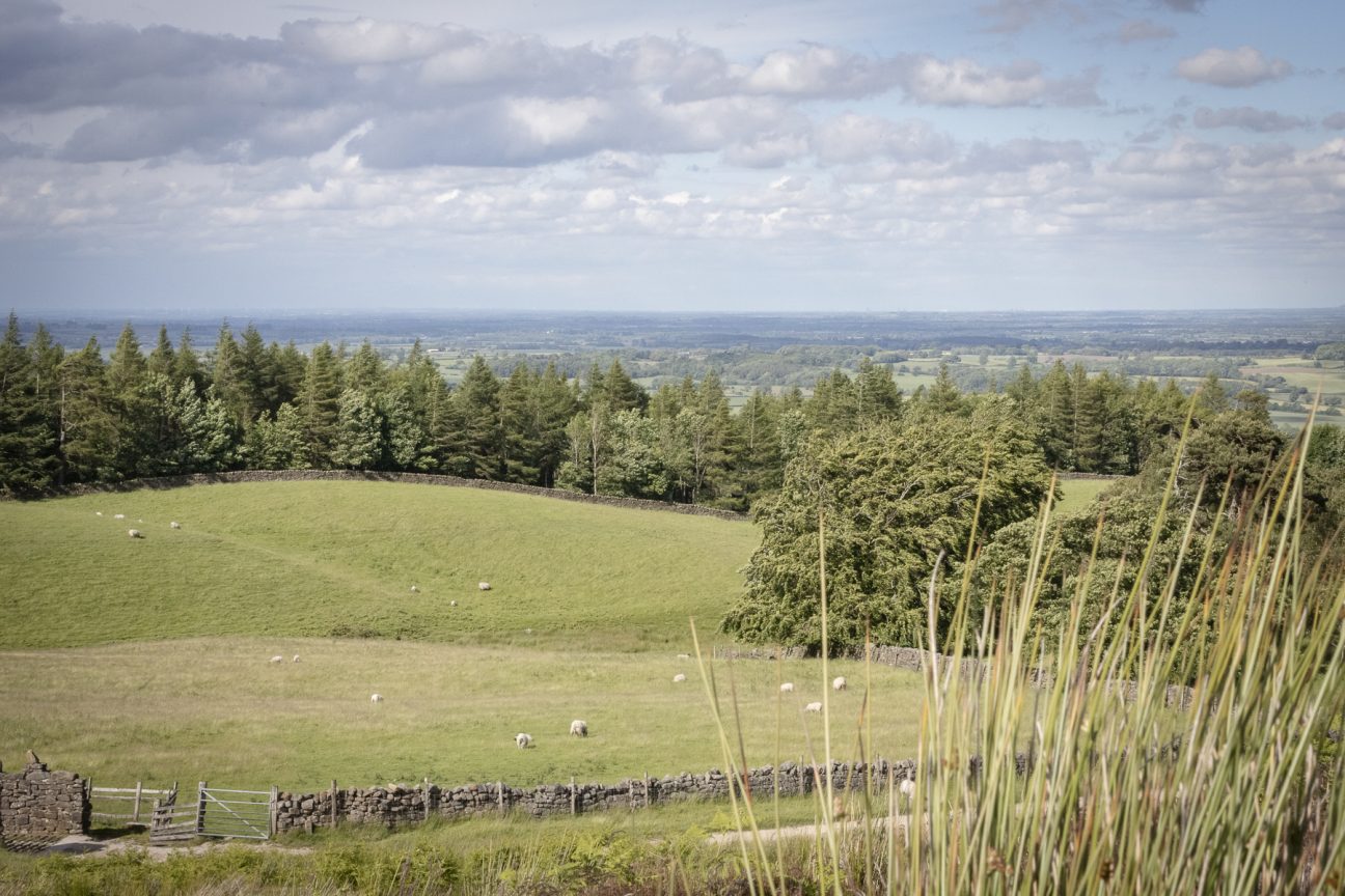 Rest+Wild Yorkshire