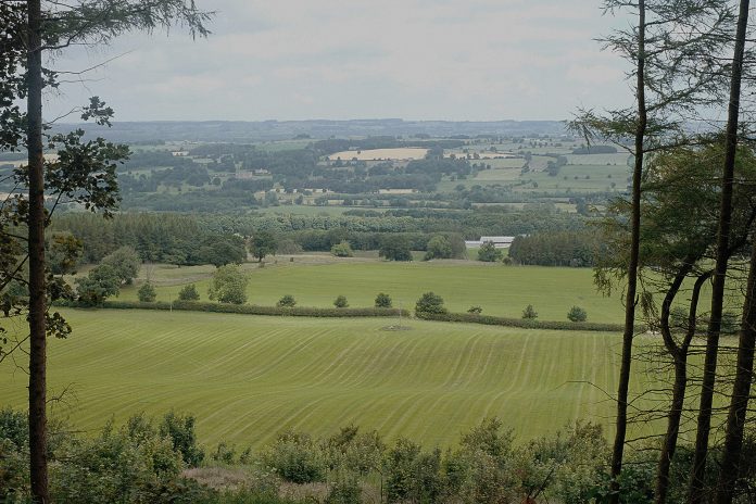 Larch - Rest+Wild Yorkshire