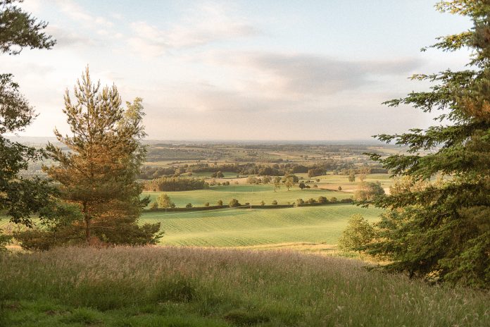 Willow - Rest+Wild Yorkshire