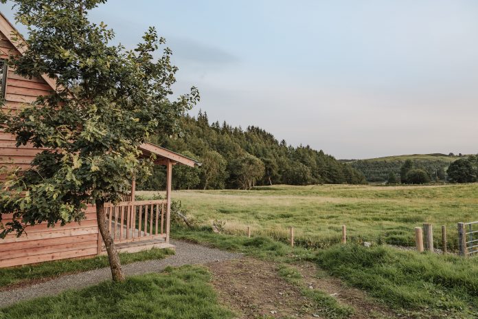 Woolly Wood Cabins - Bryn