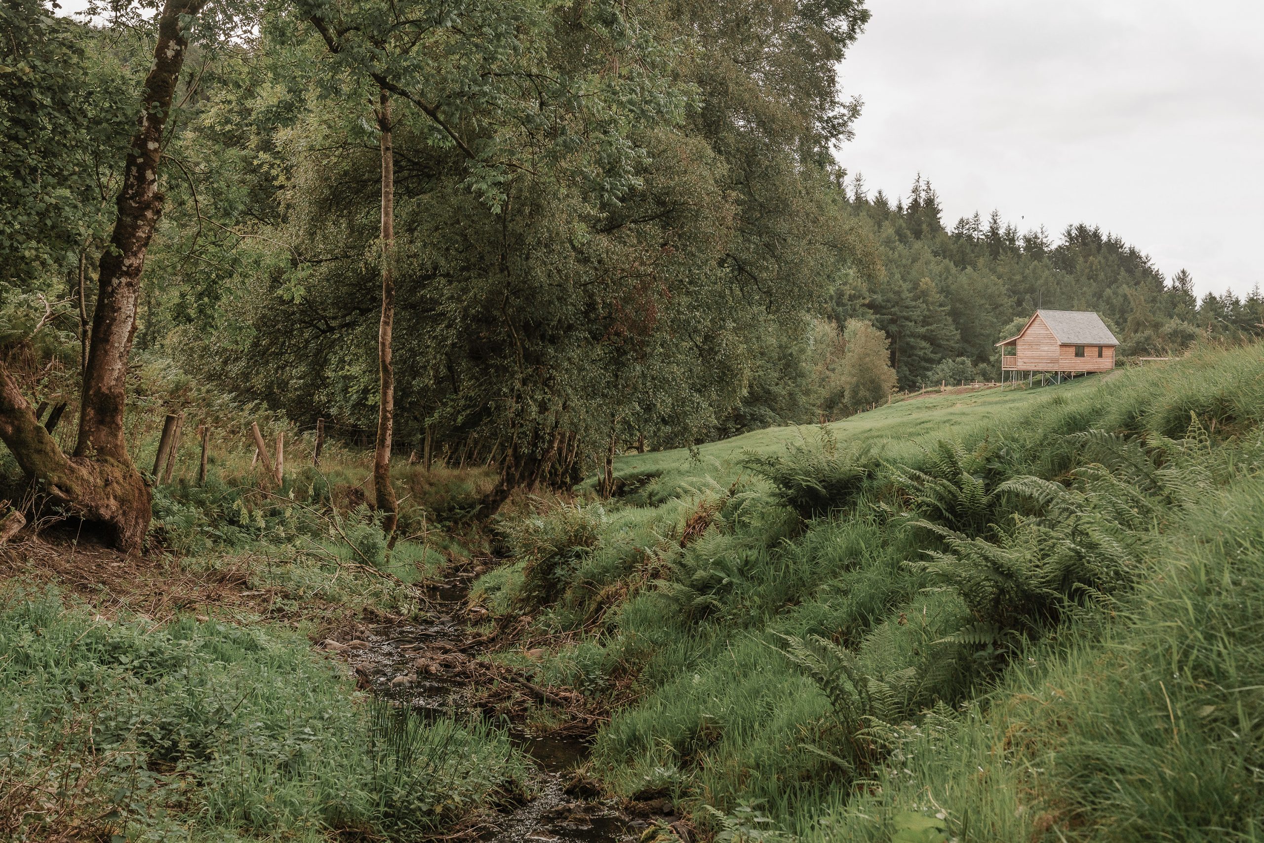 Woolly Wood Cabins - Nant