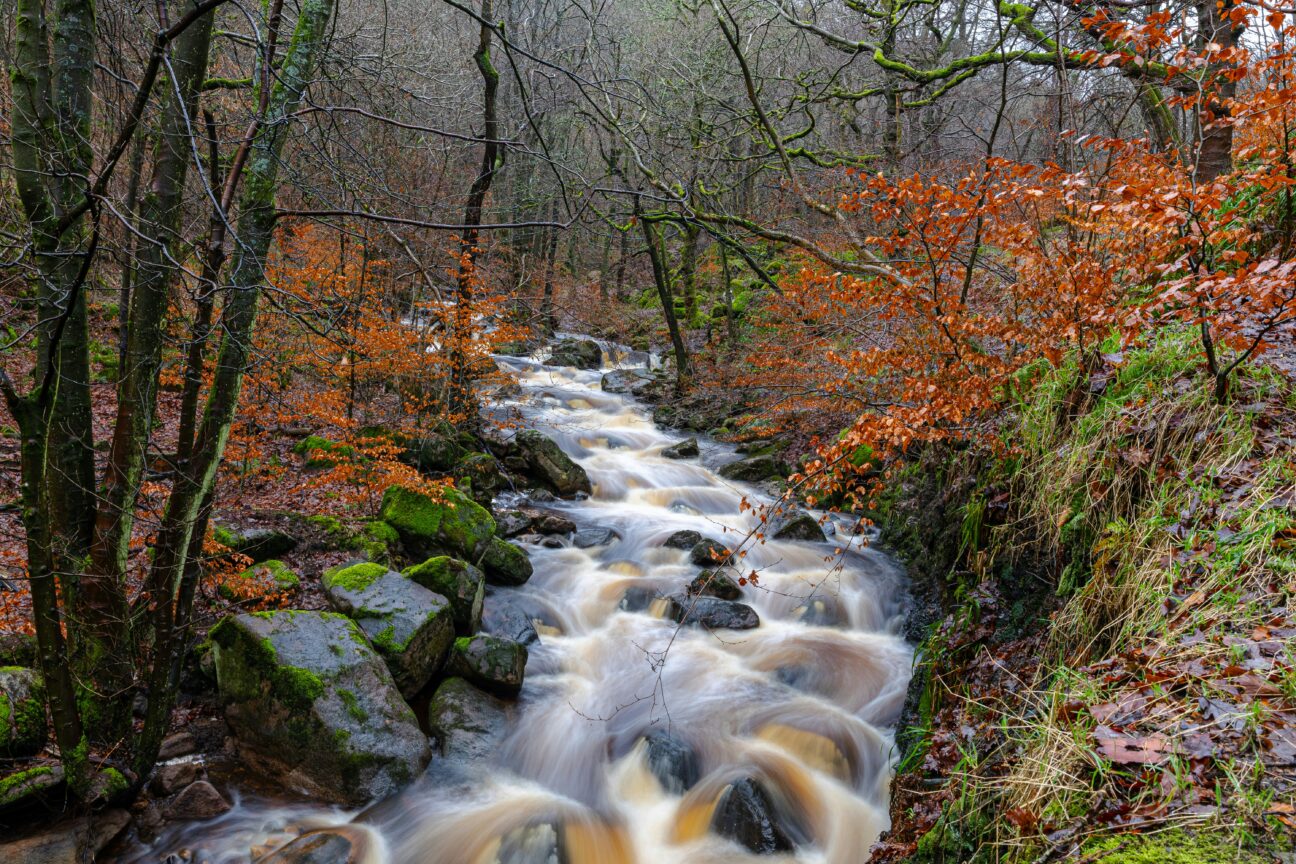 Padley Gorge via Unsplash