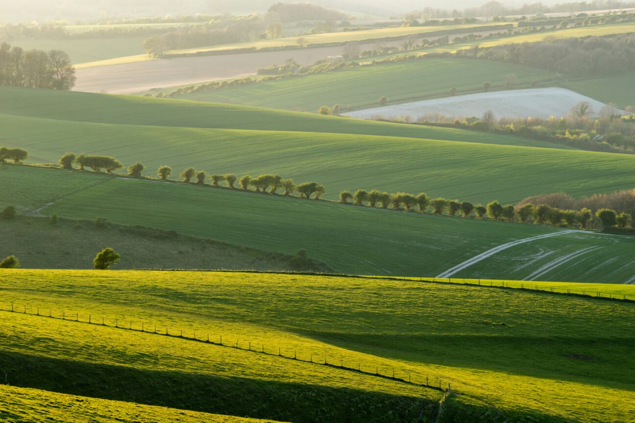 South Downs National Park via Unsplash