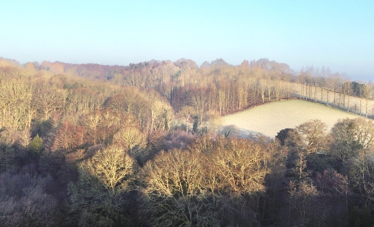 The Firesyde Estate