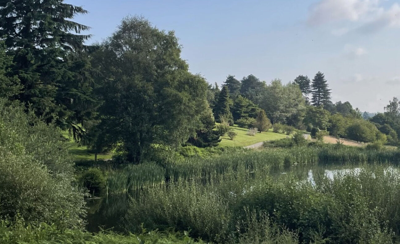 Bedgebury-Pinetum