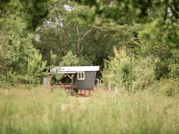 The Wyld Dorset