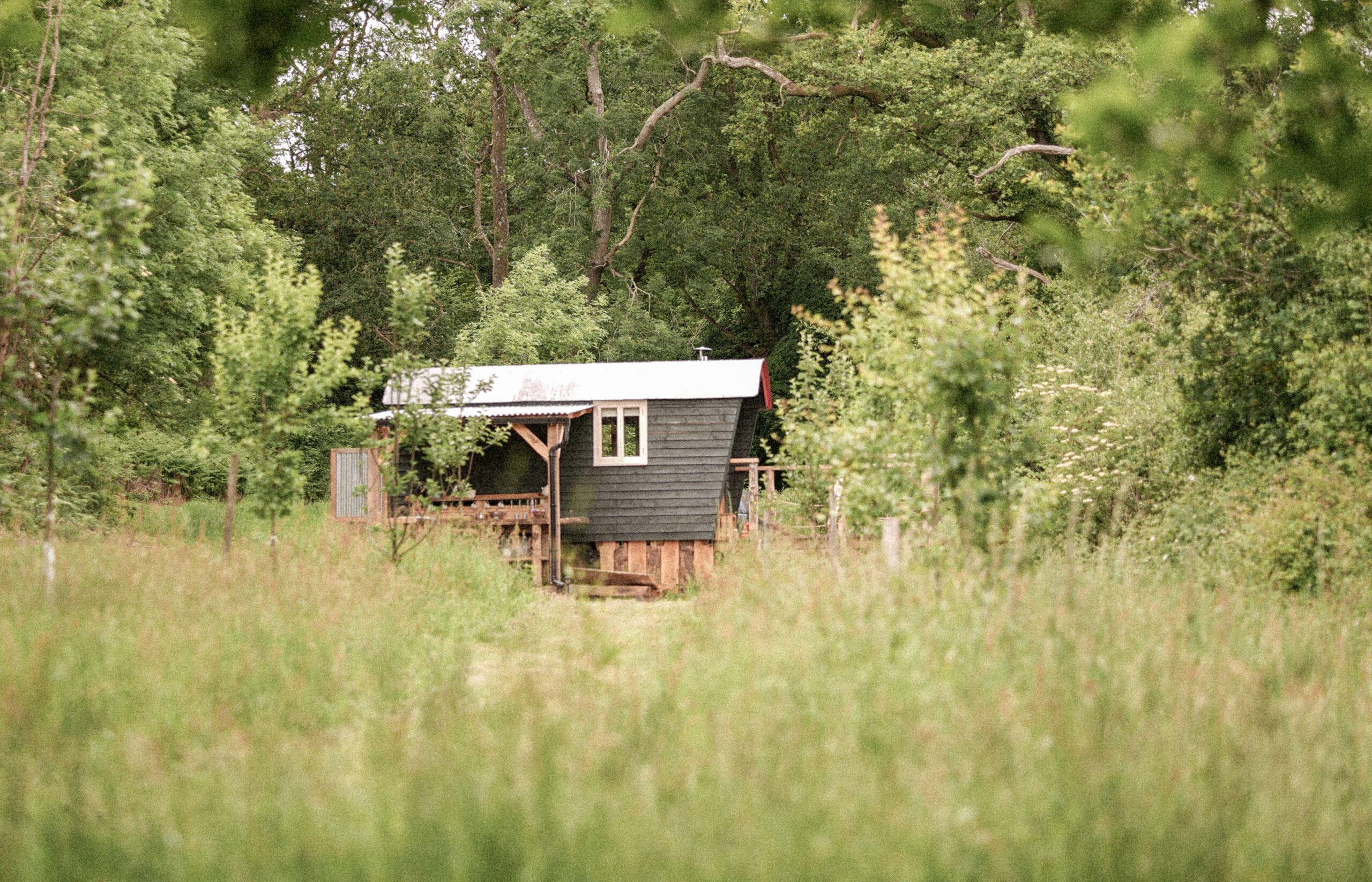 The Wyld, Kip Hideaways